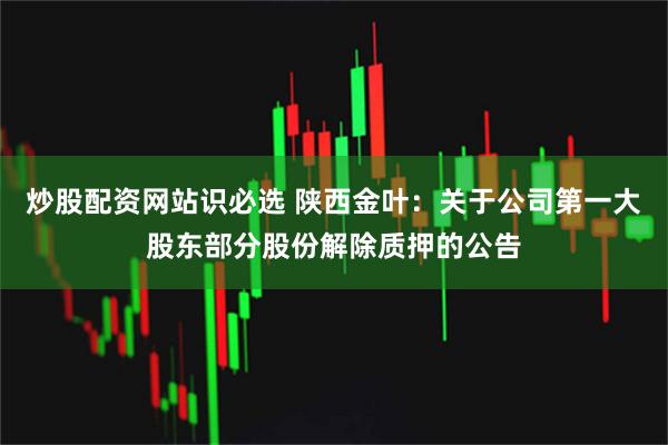 炒股配资网站识必选 陕西金叶：关于公司第一大股东部分股份解除质押的公告