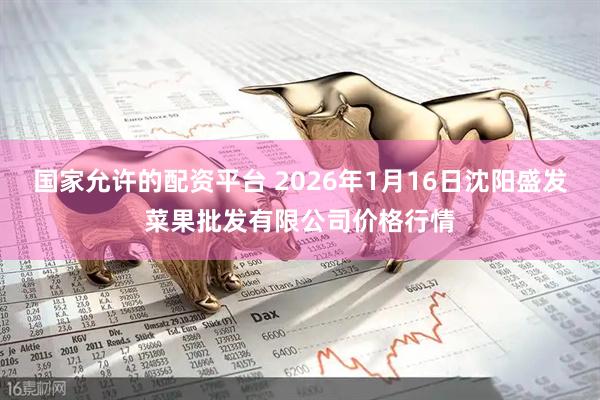 国家允许的配资平台 2026年1月16日沈阳盛发菜果批发有限公司价格行情